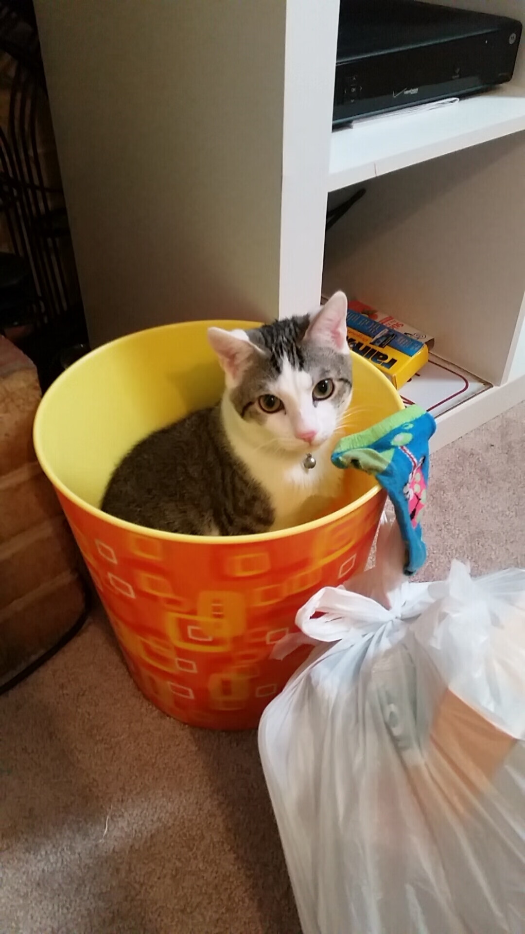 “破纪录之战！武汉马拉松迎接全新挑战”