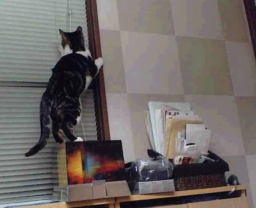 五大联赛如何通过战术升级应对体能问题,五大联赛水平