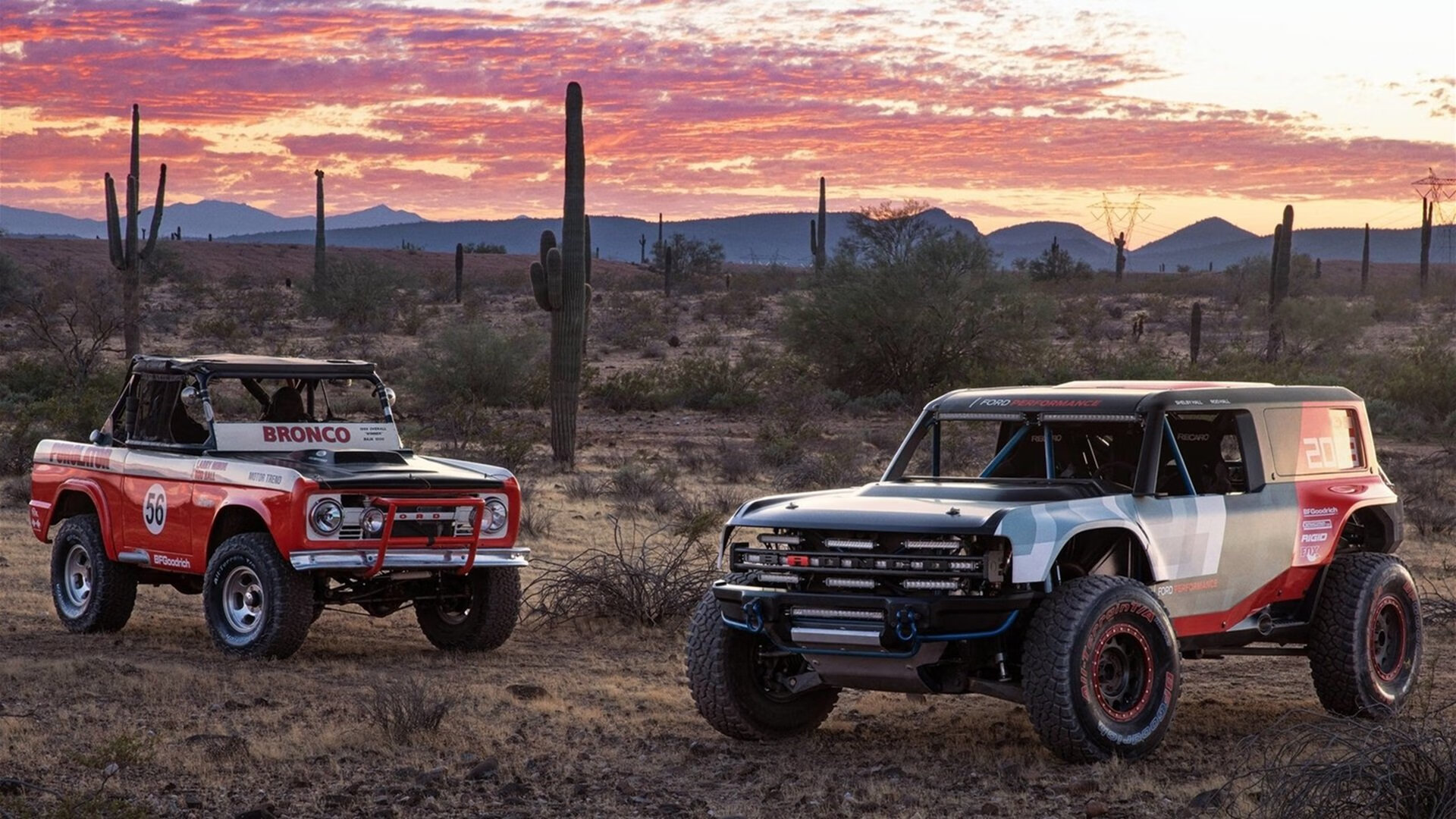 多特蒙德主打青春风暴冲击冠军,多特蒙德冠军阵容