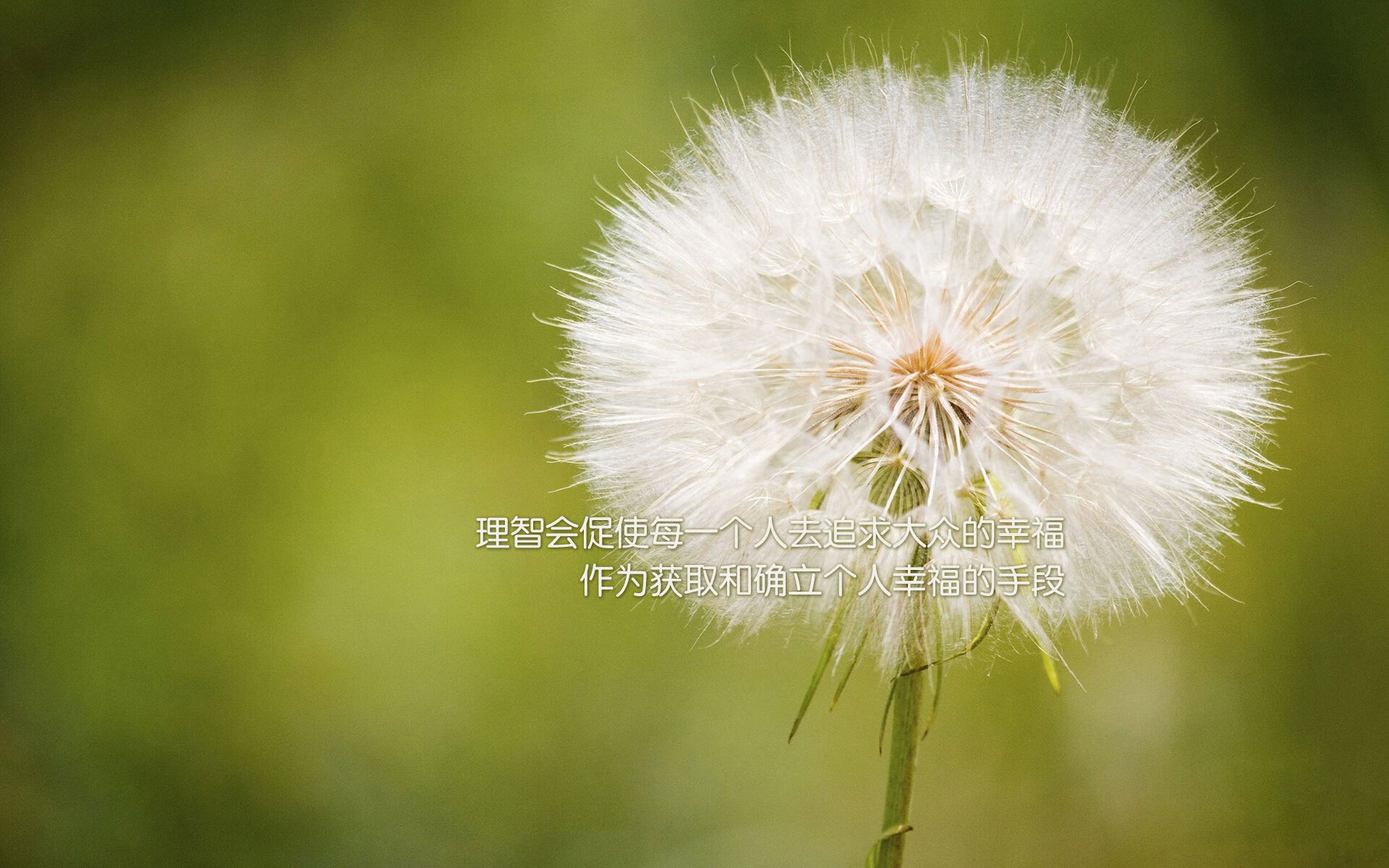 体育新闻中心协同地方媒体开发体育文化专题报道,体育新闻通讯